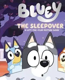Bluey: The Sleepover