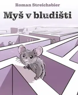 Myš v bludišti - Roman Streichsbier