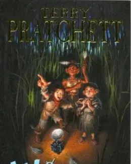 Wings - Terry Pratchett