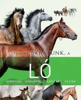Legjobb barátunk a ló
