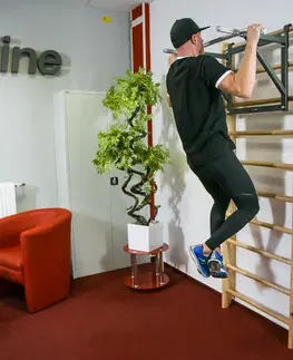 inSPORTline Steadyline 220x80 cm