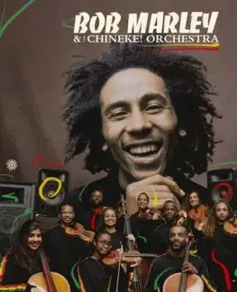 Marley Bob & The Wailers - Bob Marley & The Chineke! Orchestra CD - Bob Marley
