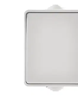  Spínač domový striedavý 250V/10A IP54 A1398.3