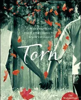 Torn - Amanda Hocking