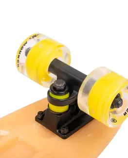 WORKER Solosy C1 22"