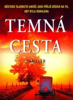 Temná cesta - Linda Castillo