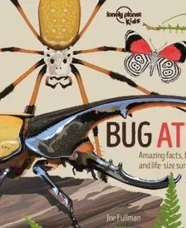 Bug Atlas - Joe Fullman
