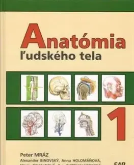 Anatómia ľudského tela 1 - Peter Mráz