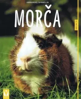 Morča - ako na to - Immanuel Birmelin