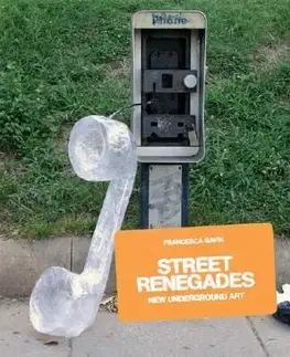 Street Renegades - Francesca Gavin