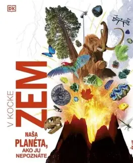 Zem v kocke