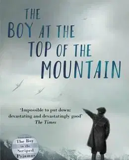 The Boy at the Top of the Mountain - John Boyne