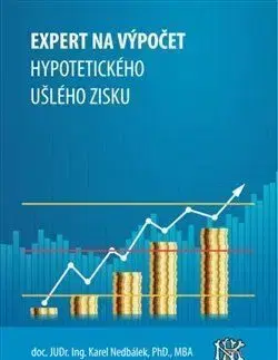 Expert na ušlý zisk, hypotetický zisk a újmu - Karel Nedbálek