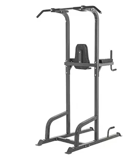inSPORTline Power Tower PT300