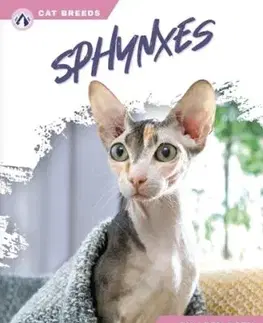 Sphynxes - Abby Doty