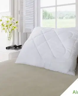 Kvalitex Vankúš Aloe Vera so zipsom, 70 × 90 cm, 900 g