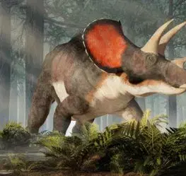 (B) 3D pohľadnica Triceratops