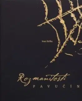 Rozmanitosti pavučín - Ivan Hrčka