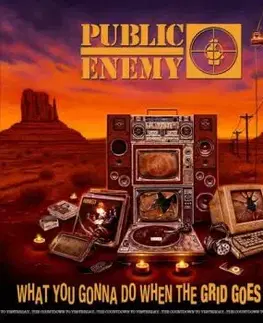 Public Enemy - What You Gonna Do When The Grid Goes Down? LP - Public Enemy