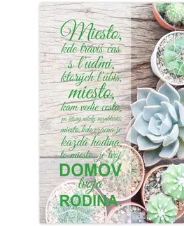Obraz v ráme na stenu - tvoj domov, kaktusy