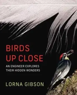 Birds Up Close - Lorna Gibson