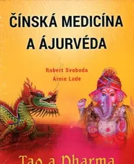Čínská medicína a ajurvéda - Tao a Dharma