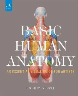 Basic Human Anatomy - Roberto Osti