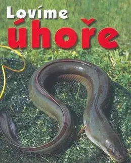 Lovíme úhoře