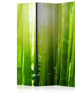 Paraván Sun and bamboo Dekorhome