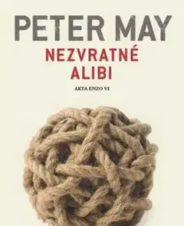 Nezvratné alibi - Peter May