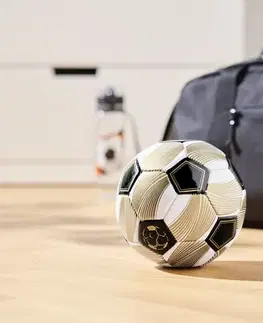 Futbalová lopta