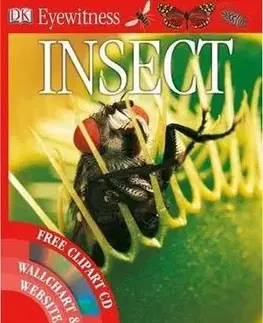 Insect (Eyewitness)