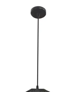 Závesná stropná lampa 1X40W E27 čierna EUPHORIA