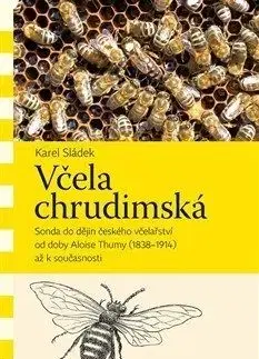 Včela chrudimská - Karel Sládek