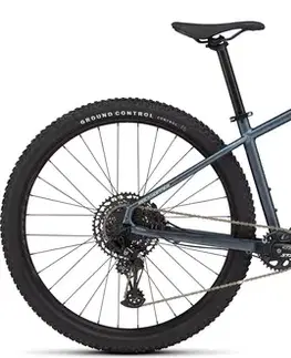 SPECIALIZED Rockhopper Expert 29 Satin Cast Blue Metallic / Gloss Astral Blue Veľkosť: S