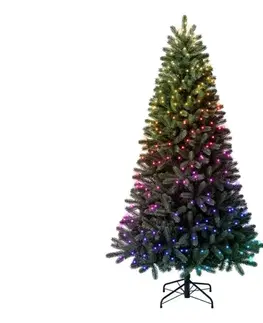 Twinkly TG70P4425P01 - LED RGBW vianočný stromček TREE 435×LED 2,1 m Wi-Fi TG70P4425P01