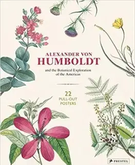 Alexander von Humboldt Botanical Illustrations - Otfried Baume