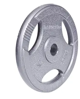 inSPORTline Hamerton 25 kg olympijský
