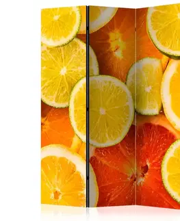 Paraván Citrus fruits Dekorhome