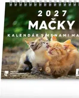 NOTIQUE Stolový kalendár Mačky – s menami mačiek 2027, 16,5 x 13 cm