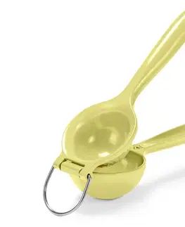 Lis na citrusy