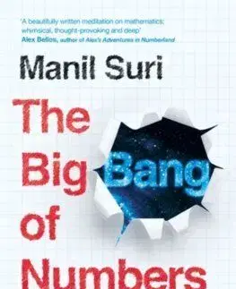 The Big Bang of Numbers - Manil Suri