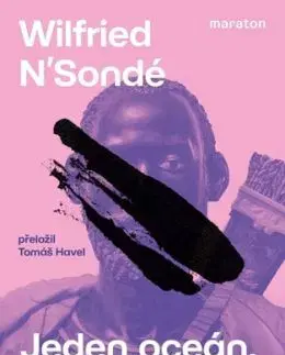Jeden oceán, dvě moře, tři kontinenty - Wilfried N´sondé, Havel Tomáš