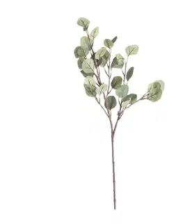 Dekoria Vetvička eukalyptu 68cm, 10 x 5 x 68 cm