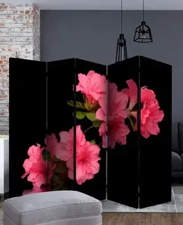 Paraván Azalea in Black Dekorhome
