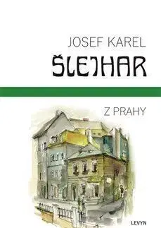 Z Prahy - Josef Karel Šlejhar