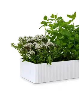 Úložný box