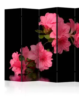 Paraván Azalea in Black Dekorhome