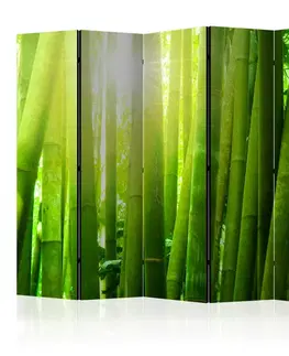 Paraván Sun and bamboo Dekorhome