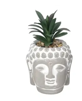Dekoria Dekorácie Succulent II Buddha 17cm, 10 x10 x 17 cm